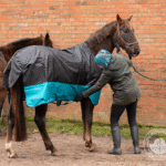 Welche Decke braucht mein Pferd im Stall? 