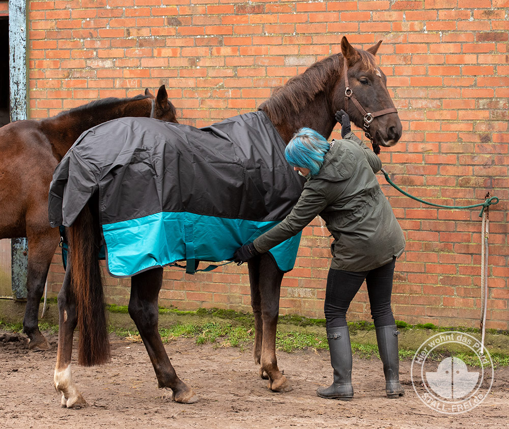Welche Decke braucht mein Pferd im Stall? 